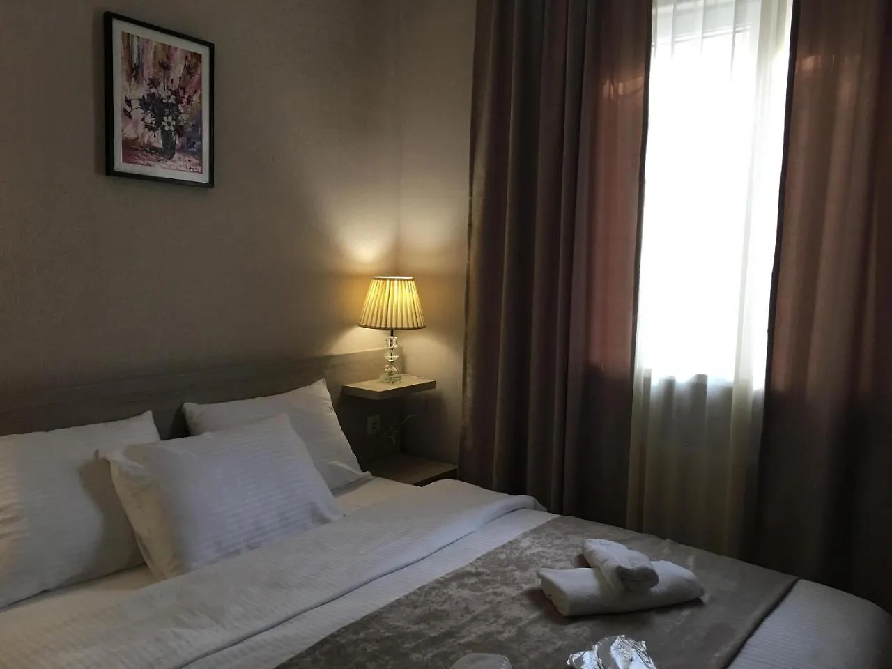 Family Hotel Triston ティビリシ